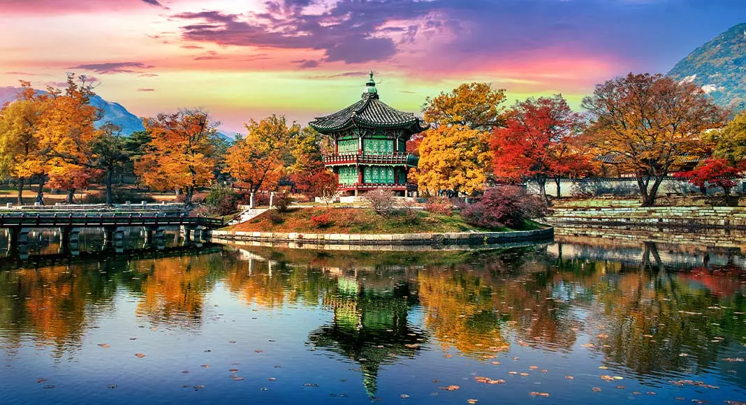 تور کره جنوبی